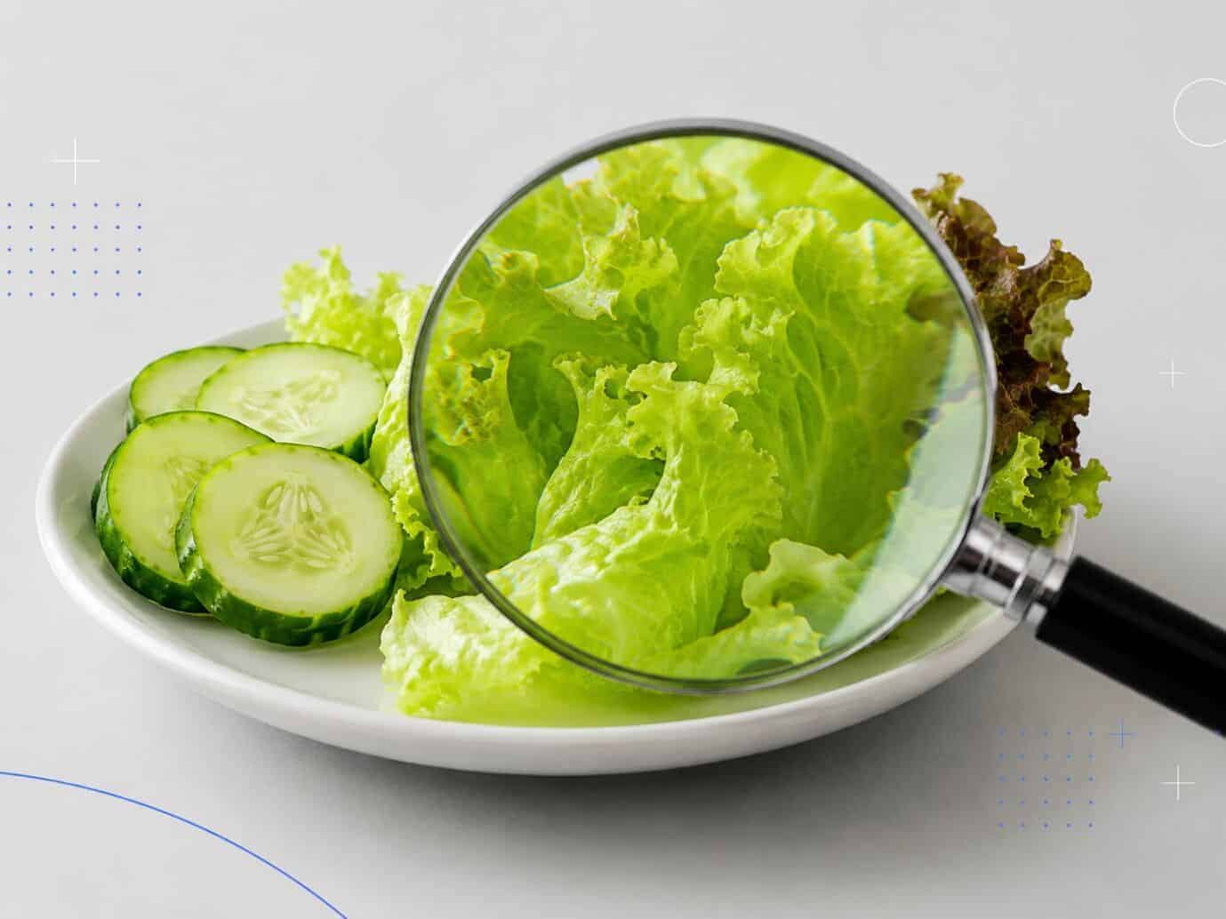 Lechuga y pepino observados con una lupa, alimentos relacionados con los FODMAPs